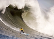 开云体育下载-勒沃库森封锁巴西，萨拉赫成为关键先生—一场战术与意志的胜利