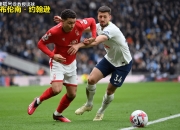 开云体育在线-包含纽卡斯尔零封保平，保级生存步步为营的词条