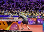 开云体育在线-瑞典乒乓球队翻盘中国乒乓球队，波尔一己之力扛起全队的简单介绍