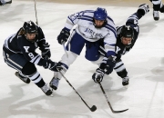 开云体育在线-马德里竞技巅峰对决，卡瓦哈尔的救赎与突尼斯奇迹