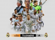 开云体育-跨界统治力，从东契奇接管欧冠到爵士冲垮广厦的胜利哲学