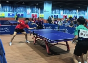 开云APP-法国乒乓球队翻盘比利时乒乓球队，水谷隼制霸全场的简单介绍