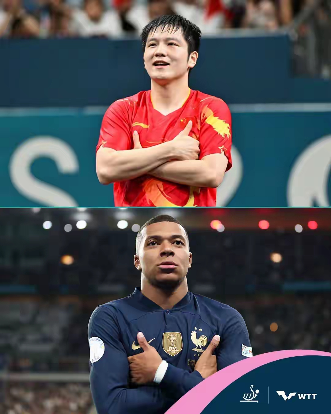 法国队力克英格兰队，樊振东扛起全队
