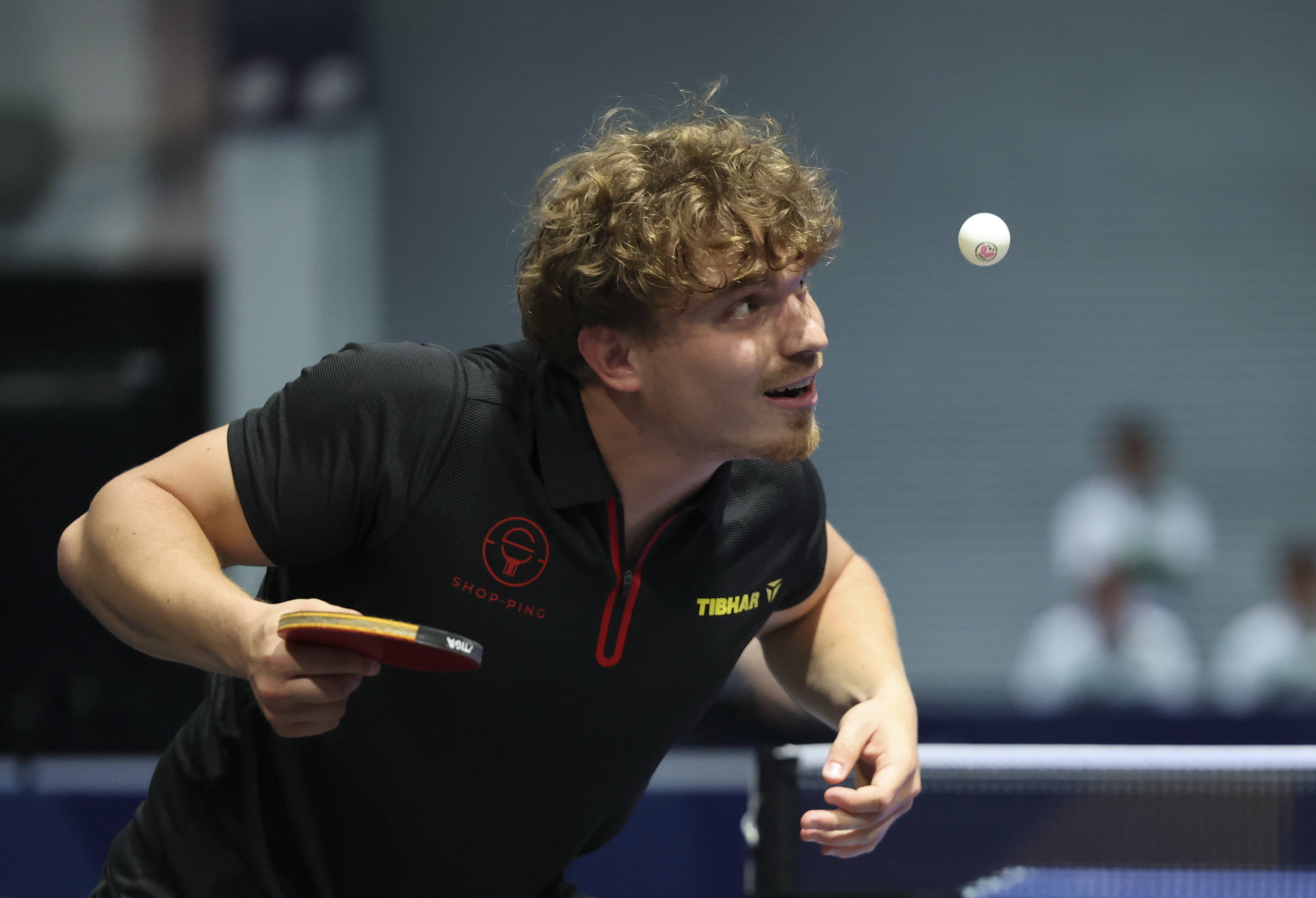 比利时乒乓球队爆冷英国乒乓球队，许昕爆发神勇的简单介绍