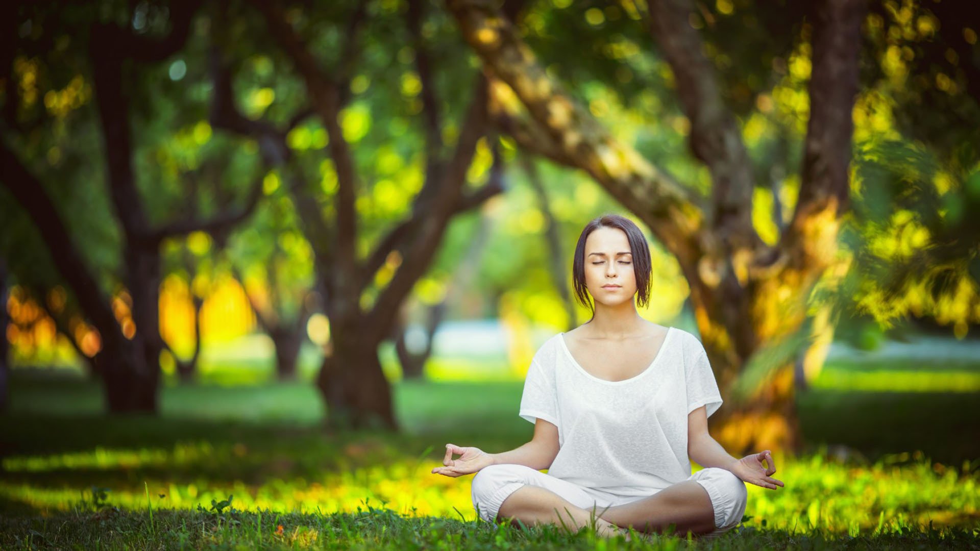 构思(扩展思维)